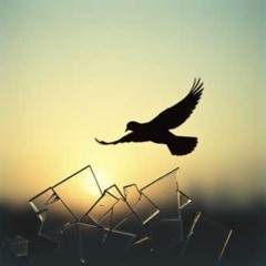 To_Forgive_Is_Not_To_Forget