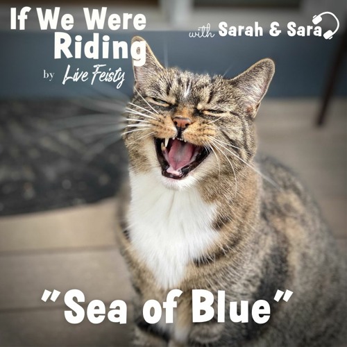 **REBROADCAST** #166 Sea of Blue