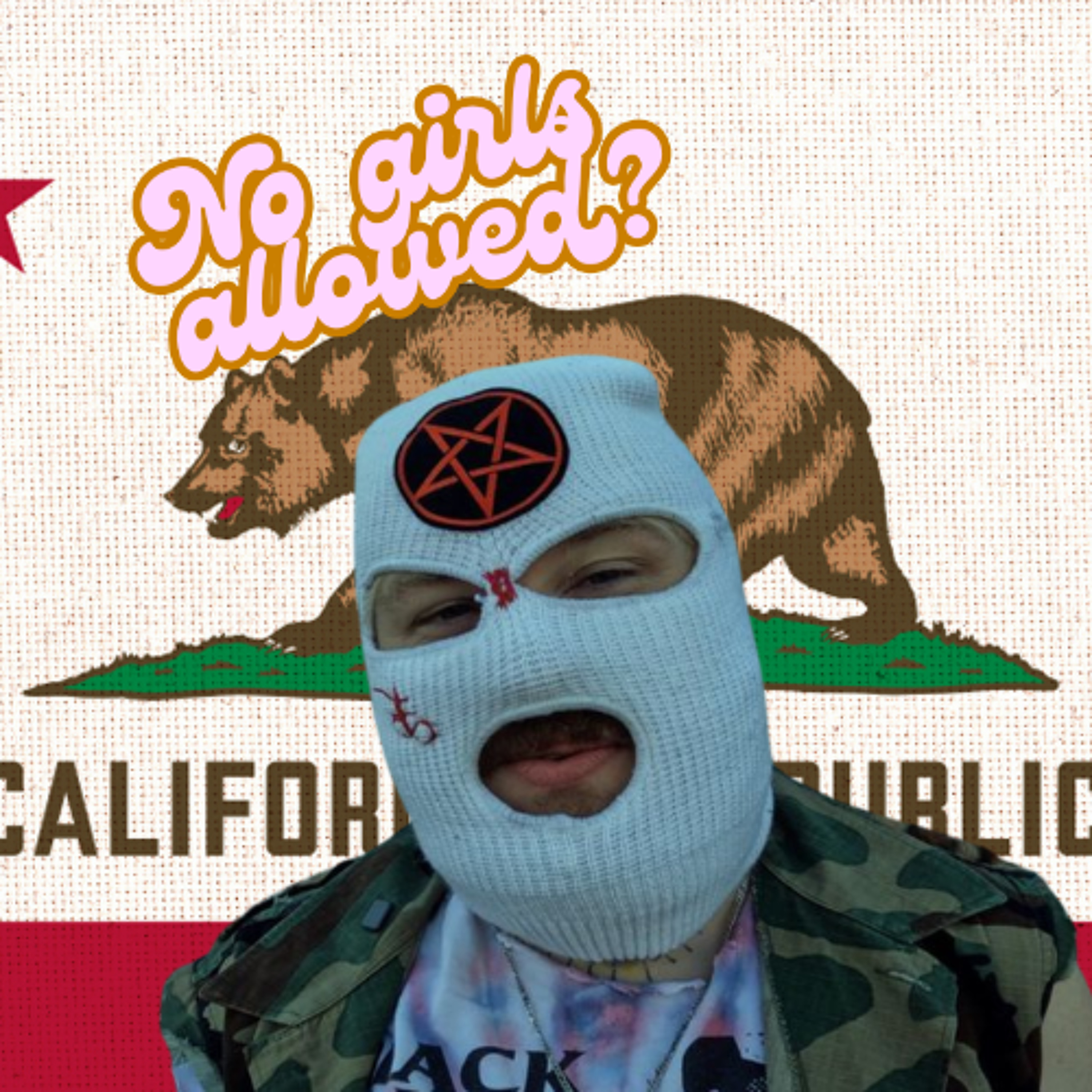 Homievulgaris 47: Hamwitch stays political episode artwork