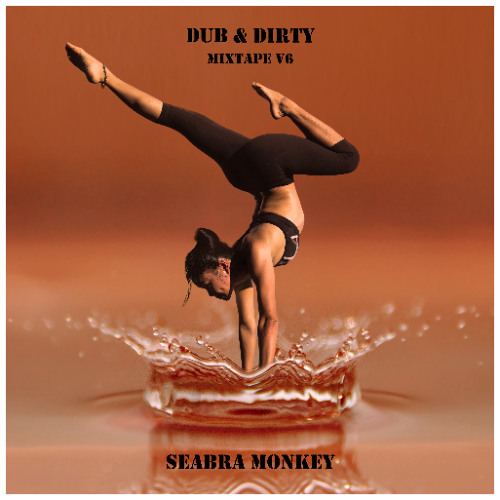 Seabra Monkey’s Dub & Dirty Mixtape V6