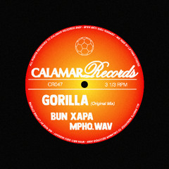 Mpho.Wav, Bun Xapa - Gorilla