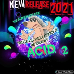 Hedgehog Productions & Recordings Warehouse Acid(150bpm Version).m4a