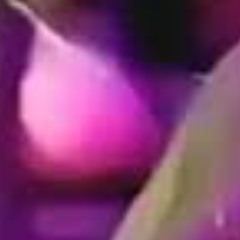 XX TWITTER VIDEOS KAJAL KUMARI TRENDING VIDEO KUMARI MMS VIDEO KAJAL KUMARI MMS FULL