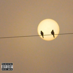 Fly