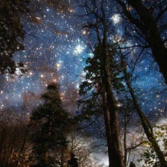 mi seh, Jah light guide mi pon di way