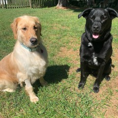 Drifting to the Otherside