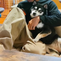 来世でなfreestyle