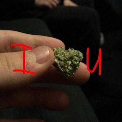 10GRAM (prod. trico)