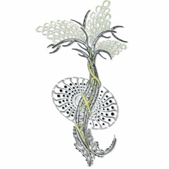190 - Plantae Sonorum