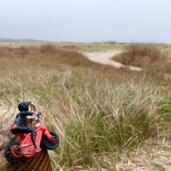 Wippy Bonstack - Knowall Goes Away