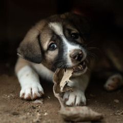 #6 Exploring Self-Awareness and Action