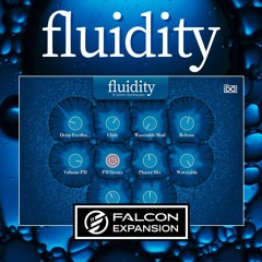 Fluidity - Did You Say Privacy Really by Dimitris Tasoudis