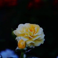 Think about life