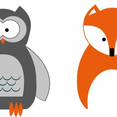Barred Owl trio & Red Fox