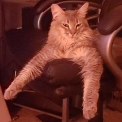 mutafukas toxic avenger - kids (Cut out voice and drums)