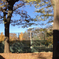 あなたはショパン(The Otals cover)