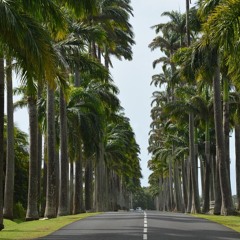 dans la maison pour mes fils