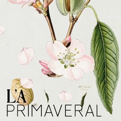 Cherman @ L'A Primaveral Festival (Barcelona) May 2022
