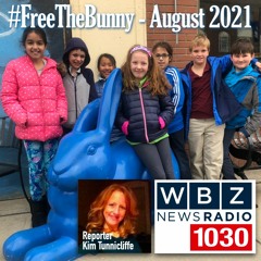 WBZ News Radio Reports on #FreeTheBunny Campaign #Segment 2