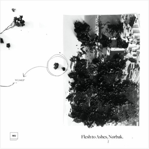 Preview - Nørbak - Flesh To Ashes - WU66LP