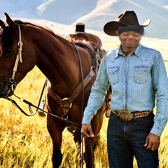 stream my music bro 2