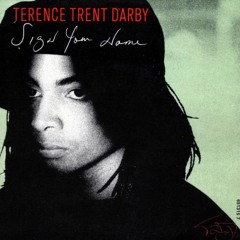 Terence Trent D'Arby - Sign Your Name (Kenno Edit)