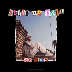 Dizzee Rascal - Stand Up Tall (SW Remix)