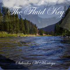 The Fluid Key