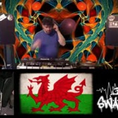 DJ Swankie