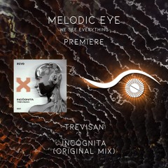PREMIERE: Trevisan - Incognita (Original Mix) [Revo Music]