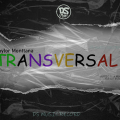 11_TRANSVERSAL