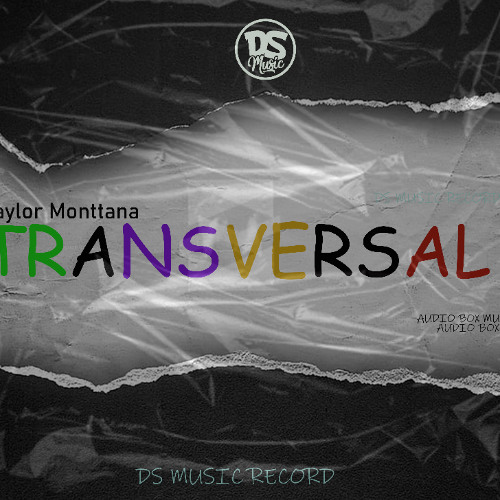 11_TRANSVERSAL