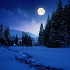 Glittering Snow Under Moonlit Skies