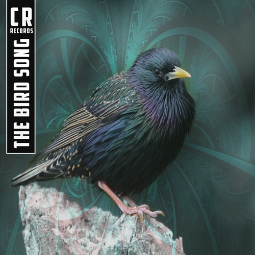 The Bird Song