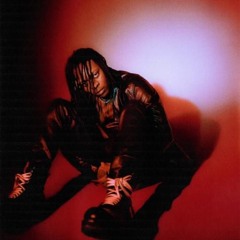 UnoTheActivist/The Act
