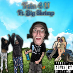Fein 4 U