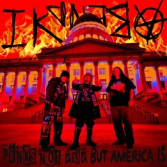 PUNKS NOT DEAD BUT AMERICA IS