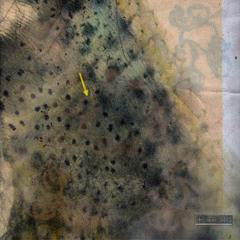 A. carga Fantasma