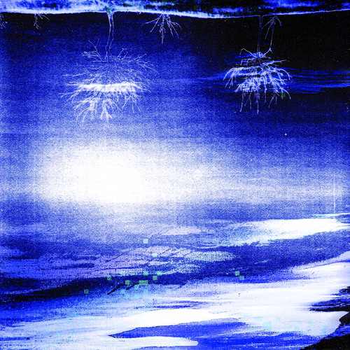 TREES IN THE SKY