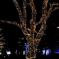 In The Blue Glaze Of The South - #2948 By Chair House 01092022