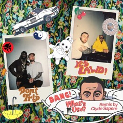 Dang, What's the Use!? (Remix) RIP MAC MILLER