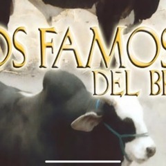 La Z 71 : Los famosos del bravo