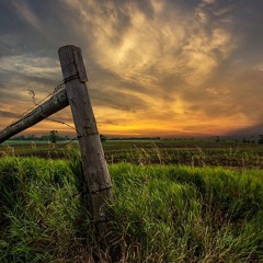 Looking At Country