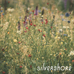 porter robinson - wind tempos (silvershore edit)