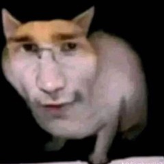 tff is this bro :skull: