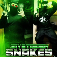 JayStripEm - snakes
