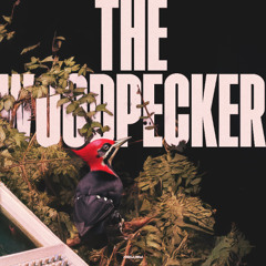 Arkaik - The Woodpecker