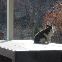 우리의 집 (demo) - 발매