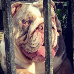 Do for love remix (practice hours 1/3)