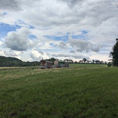 Lintu lensi oksalle.mp3